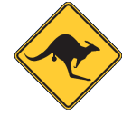 Brighton Skippycoin ICG